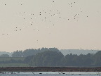 image/_roskilde_fjord-208.jpg