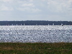 image/_roskilde_fjord-210.jpg