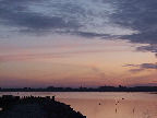 image/_roskilde_fjord-222.jpg