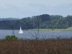 image/_roskilde_fjord-2236.jpg
