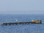 image/_roskilde_fjord-232.jpg
