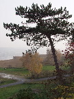 image/_roskilde_fjord-237.jpg