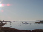 image/_roskilde_fjord-264.jpg
