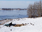 image/_roskilde_fjord-270.jpg