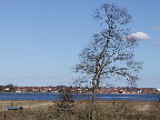 image/_roskilde_fjord-271.jpg