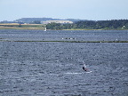 image/_roskilde_fjord-272.jpg