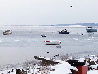 image/_roskilde_fjord-276.jpg