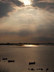 image/_roskilde_fjord-289.jpg