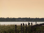 image/_roskilde_fjord-291.jpg