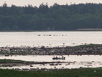 image/_roskilde_fjord-293.jpg