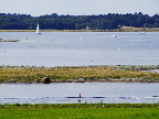 image/_roskilde_fjord-295.jpg