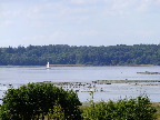 image/_roskilde_fjord-296.jpg