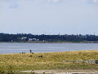 image/_roskilde_fjord-299.jpg