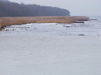 image/_roskilde_fjord-302.jpg