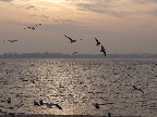 image/_roskilde_fjord-312.jpg