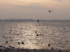 image/_roskilde_fjord-313.jpg