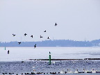 image/_roskilde_fjord-348.jpg