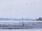 image/_roskilde_fjord-349.jpg