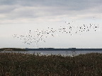 image/_roskilde_fjord-3527.jpg