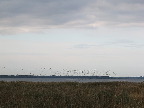 image/_roskilde_fjord-3529.jpg