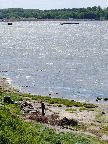 image/_roskilde_fjord-355.jpg