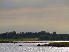 image/_roskilde_fjord-362.jpg