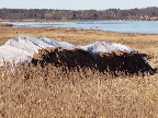 image/_roskilde_fjord-368.jpg