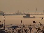 image/_roskilde_fjord-375.jpg