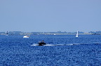image/_roskilde_fjord-3814.jpg