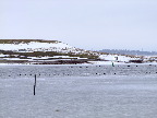 image/_roskilde_fjord-386.jpg