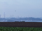 image/_roskilde_fjord-402.jpg