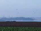 image/_roskilde_fjord-403.jpg