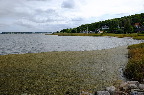 image/_roskilde_fjord-4031.jpg