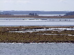 image/_roskilde_fjord-420.jpg