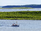 image/_roskilde_fjord-421.jpg