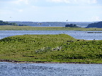 image/_roskilde_fjord-422.jpg