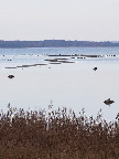 image/_roskilde_fjord-425.jpg