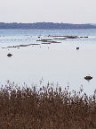 image/_roskilde_fjord-426.jpg