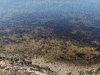 image/_roskilde_fjord-428.jpg
