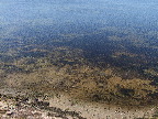 image/_roskilde_fjord-429.jpg