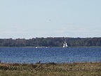 image/_roskilde_fjord-431.jpg