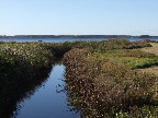 image/_roskilde_fjord-432.jpg
