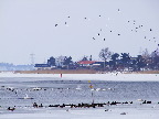 image/_roskilde_fjord-437.jpg