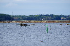 image/_roskilde_fjord-4389.jpg