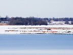 image/_roskilde_fjord-440.jpg