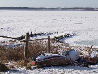 image/_roskilde_fjord-441.jpg