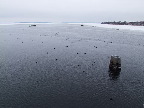 image/_roskilde_fjord-442.jpg