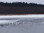 image/_roskilde_fjord-443.jpg