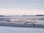 image/_roskilde_fjord-445.jpg