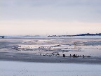 image/_roskilde_fjord-446.jpg